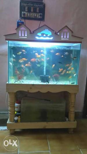 Used fish tank 2feet only two months old. good