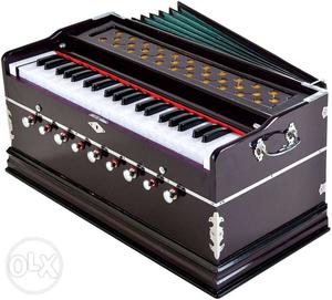 Ye punjabi coupler harmonium hai, 2 yrs old