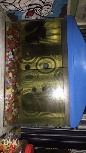 feet aquarium with stylish cap only in excellent