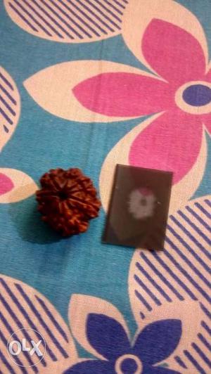 10 mukhi rudraksha. Only Serious Byers.