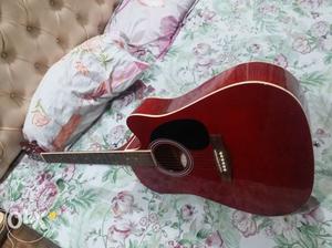 Acoustic Guitar in almost new condition.