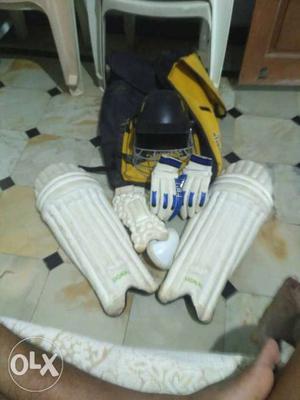 Cricket kit - hand gloves(SS brand)kit bag leg pads guard