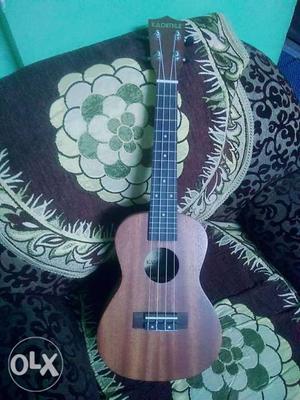 I want to sell my Kadence ukulele. I bought this