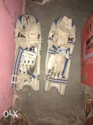 Pair Of Blue-and-white Batting Pads And Gloves