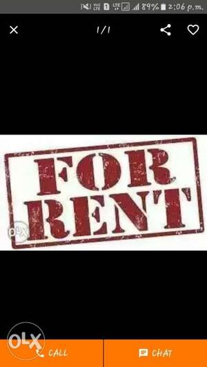 Room Available for Rent