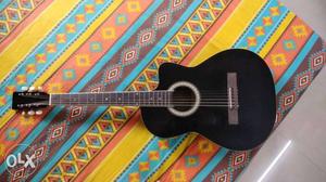Santana Hw-39c Acoustic Guitar