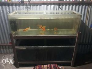 4ft 2 tanks with stand for sale