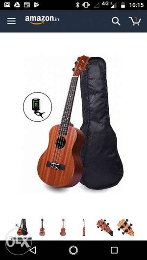Brown Acoustic Guitar And Black Guitar Bag Screenshot