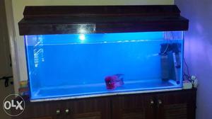 Singapore fish see the face with motor heater LED light 4
