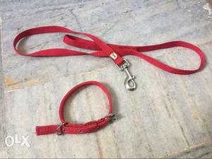 Two Red Pet Leash And Collar