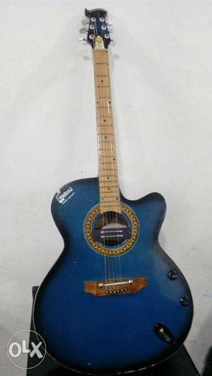 Blue Acoustic guitar for sale played only by professional