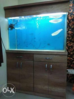 Brown Wooden 4-door 2-drawer Fish Cabinet