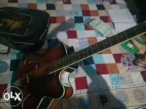 Hobner Guitar With Bag