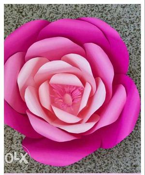 Purple And Pink Rose Flower