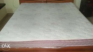 Sleepwell Spinetech air mattress