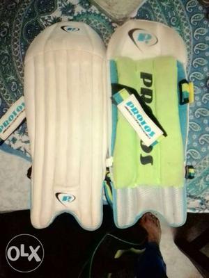 Wicket keeping pads and Gloves 4 day used