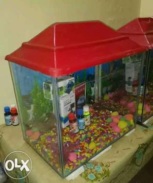 2 fit aquariam with all Accecries with 8 fish