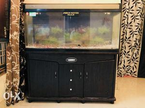 4ft aquarium with canister filter