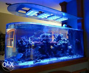 Aqua world interior fish tank aquarium in wall