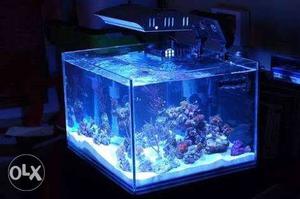 Aquarium For Sale - Size 1 Feet All sides - with