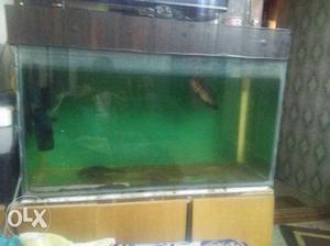 Aquarium for sell