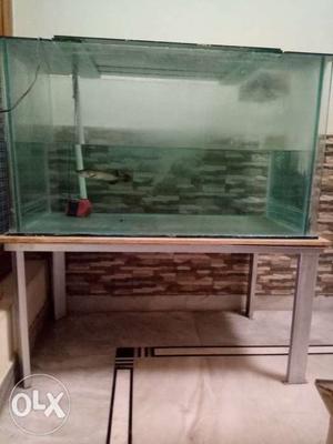 Aquarium with fish for sale with filter also