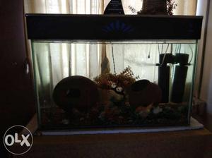 Black-frame Fish Tank/Aquarium