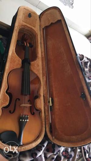 Brand New violin in month used scratchless
