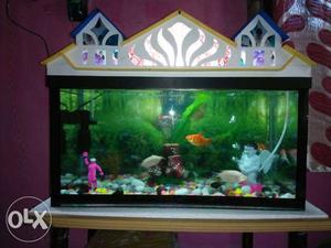 Brand new aquarium with all types of accessories