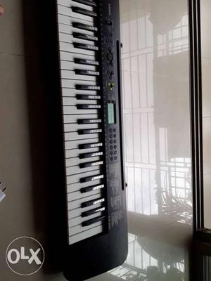Casio music bank Ctk 245. works Only On Batteries