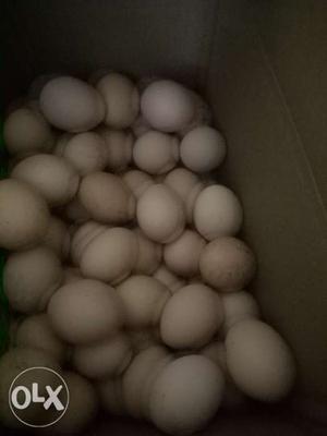 Country chicken eggs from form