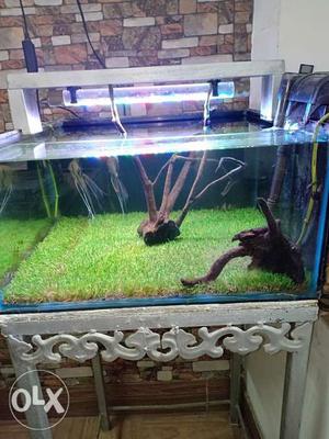 Custom made aquarium...very attractive.. with