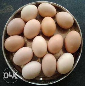 Desi chicken eggs at reasonable price and 100% qualitative