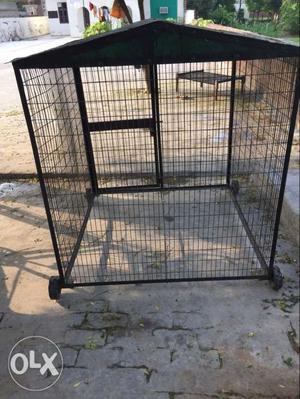 Dog cage, large size