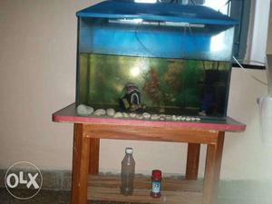 Fish Aquarium Set with Table