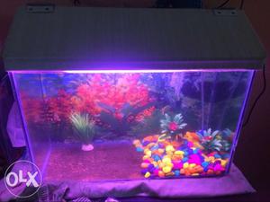 Fish Tank.. 2 fish tank for sale with Light,