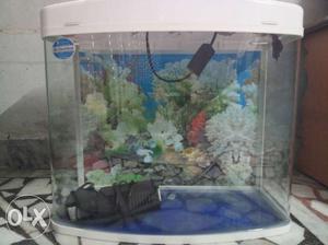 Fish Tank For Sale