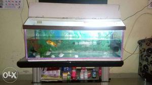 Fish tank 3*1*1 with 10kg white sand, 1water