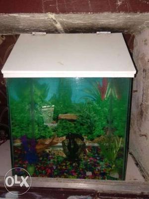 Fish tank with 3 fish,stone and trees only at 600