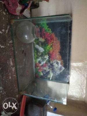 Fish tank with fish pot want's to sell it, it is in good