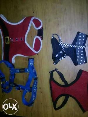 Harnes and belts for dogs all ages