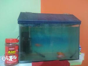It's a fish tank in good condition I am giving