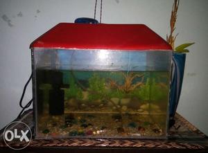 Medium sized aquarium with one pump and filter and fiah food
