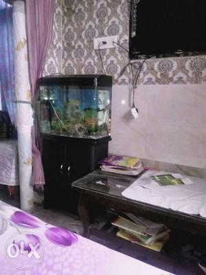 New condition fish aquarium