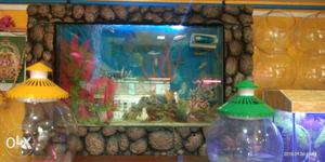 New variety variety fish tanks home delivery