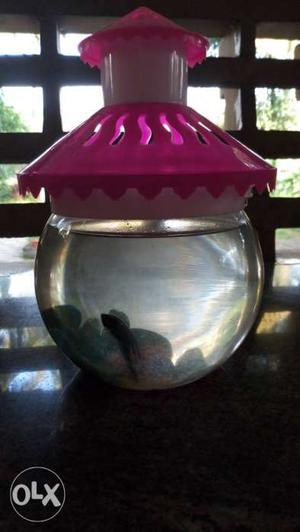 Pink Framed Clear Fishbowl