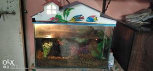 Sale of 15 days used fish tank..Price will be negotiable
