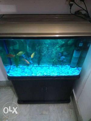 Size  fish aquarium made in China with