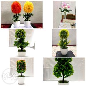 Artificial Plants Collage (500 each)