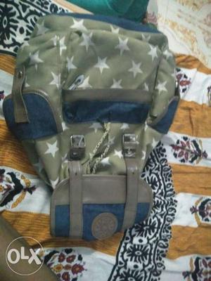 Blue And Gray Car Seat Carrier
